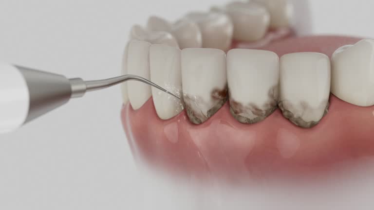 Reliable Dental contractor in Algonquin, IL by Dentist Open Now